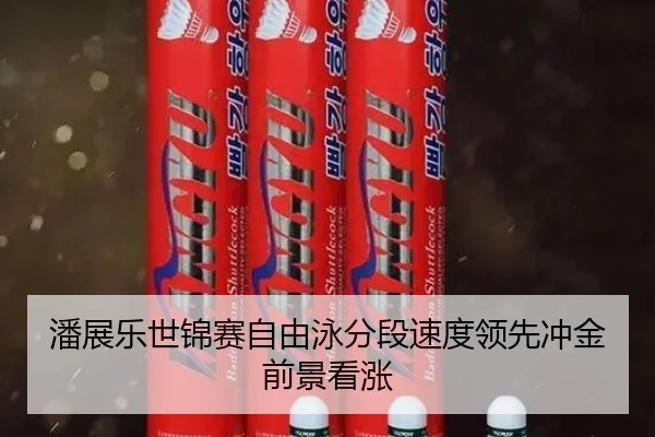 潘展乐世锦赛自由泳分段速度领先冲金前景看涨